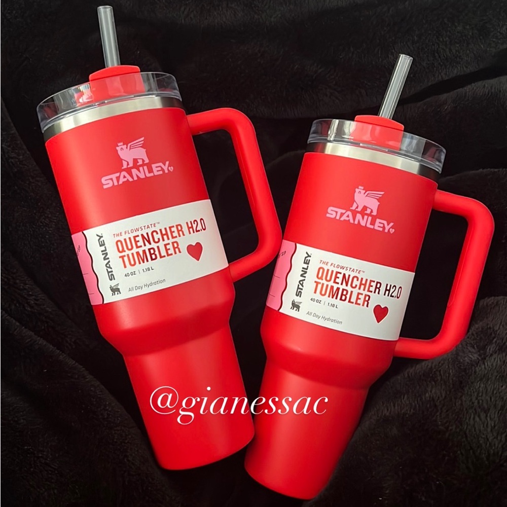 NWT 2024 Valentines 40oz Stanley in Target Red
